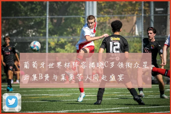 葡萄牙世界杯阵容揭晓C罗领衔众星云集B费与莱奥等人同赴盛宴