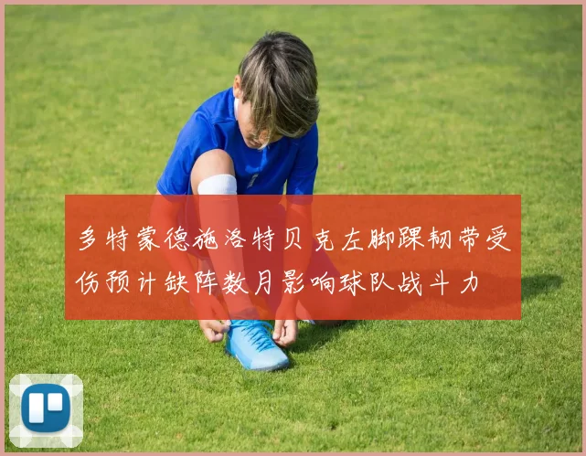 多特蒙德施洛特贝克左脚踝韧带受伤预计缺阵数月影响球队战斗力
