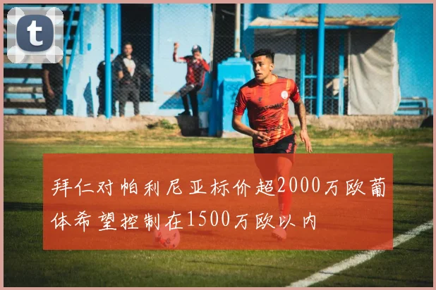 拜仁对帕利尼亚标价超2000万欧葡体希望控制在1500万欧以内