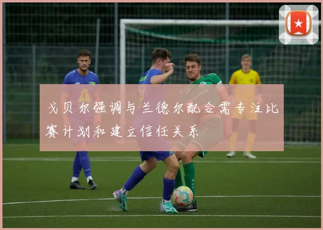 戈贝尔强调与兰德尔配合需专注比赛计划和建立信任关系